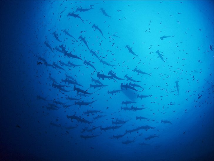 4 Fascinating Facts About Isaac Newton